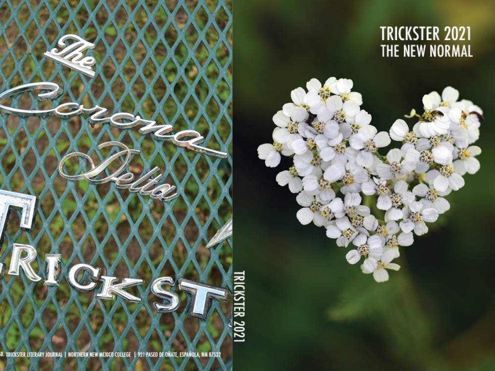 Trickster Cover